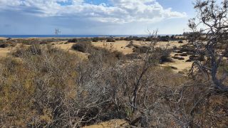 2023-GC-Dunas_Maspalomas-062.jpg